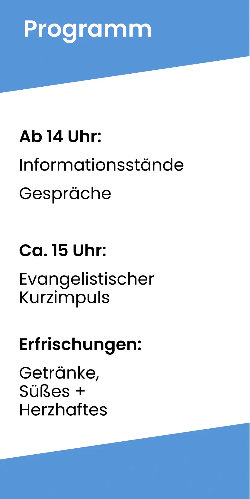 Flyer-3